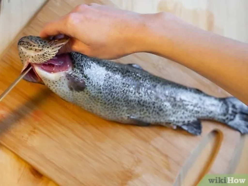 Preparing to fillet a trout